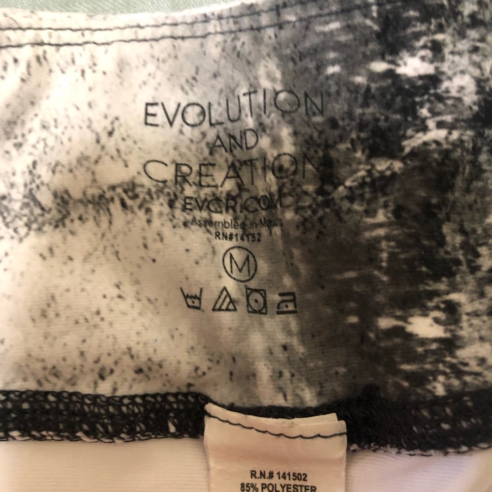 Evolution and creation - Picture 2 of 4
